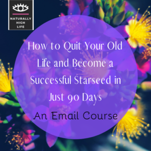 How to Quit Your Old Life and Become a Successful Starseed in 90 Days- An Email Course